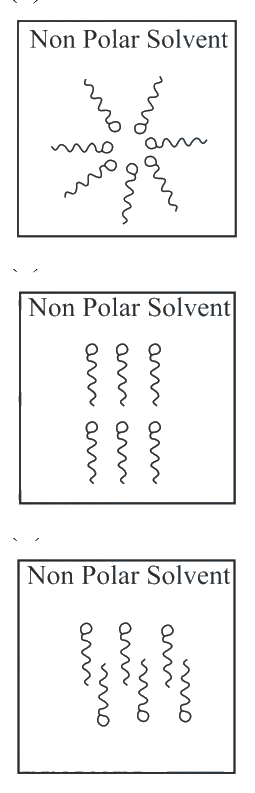 Question 31 image