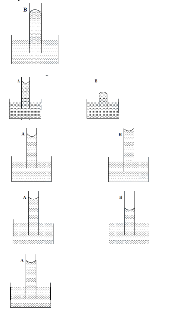 Question 27 image
