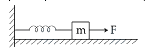 Question 12 image