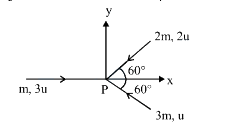 Question 8 image