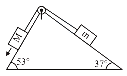 Question 11 image