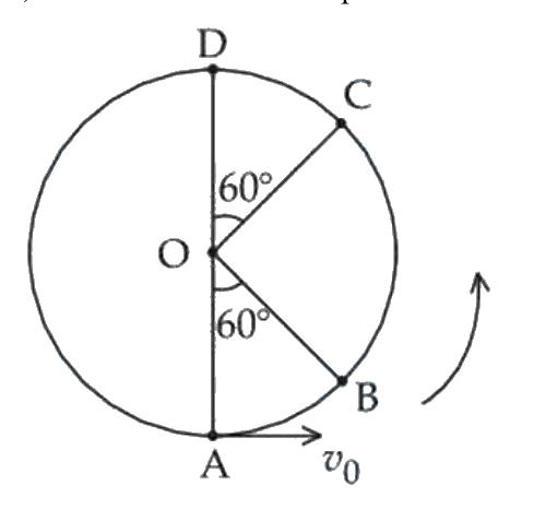Question 45 image