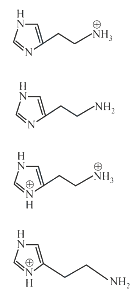 Question 34 image