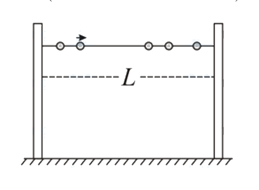 Question 2 image