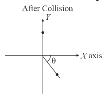 Question 21 image