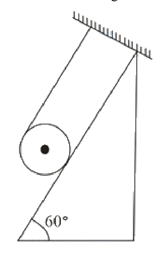Question 8 image
