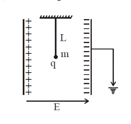 Question 15 image