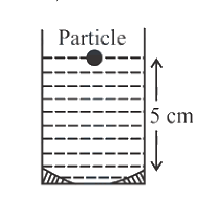 Question 26 image