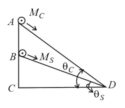 Question 7 image
