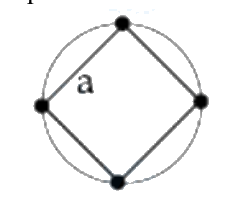 Question 16 image