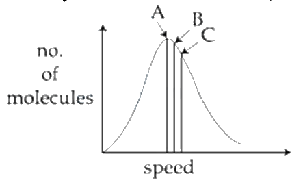 Question 26 image