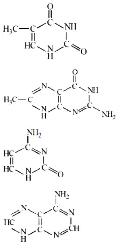 Question 45 image