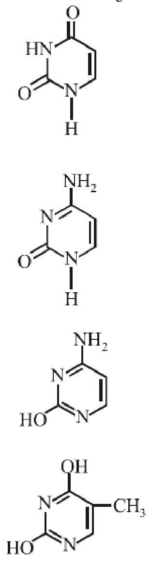 Question 41 image