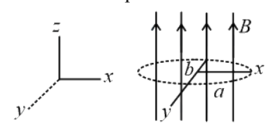 Question 9 image