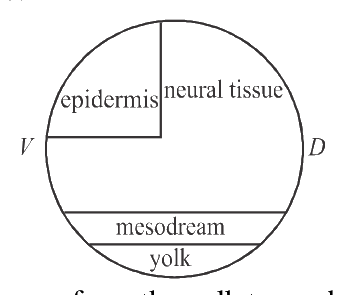 Question 79 image