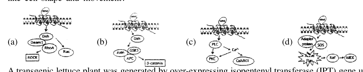 Question 80 image
