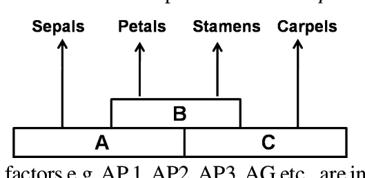Question 80 image