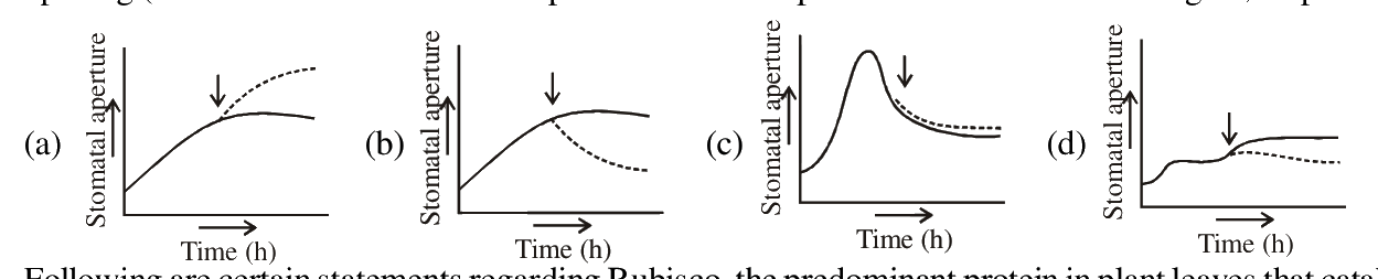 Question 81 image