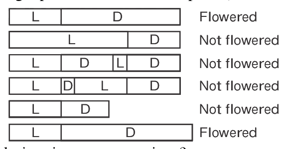 Question 83 image