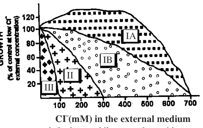 Question 83 image