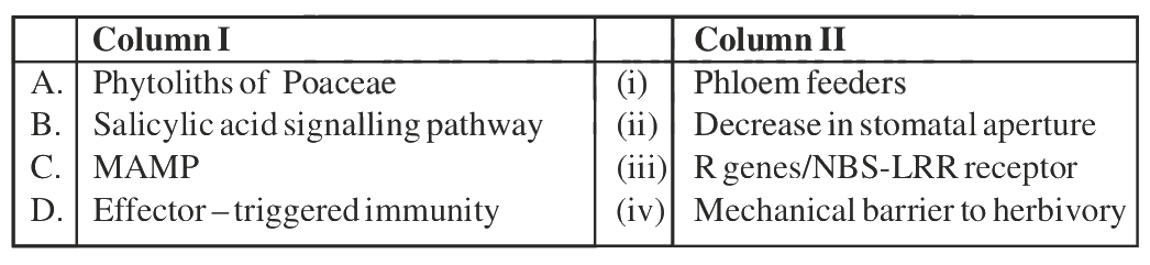 Question 85 image