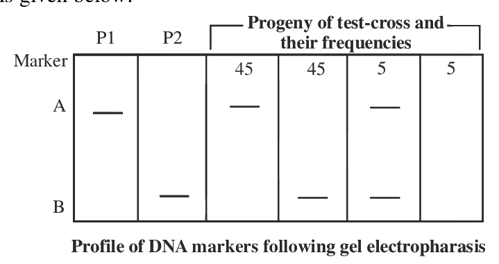 Question 86 image