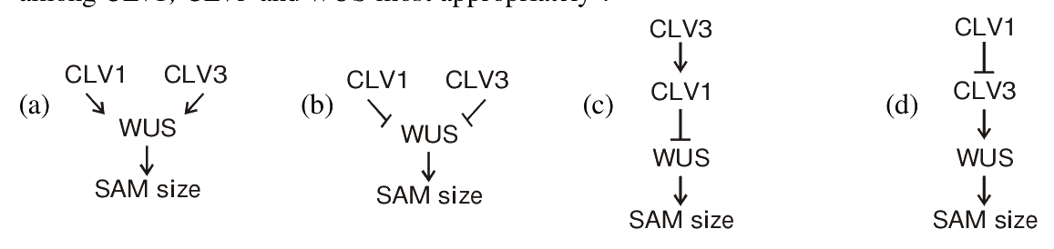 Question 86 image