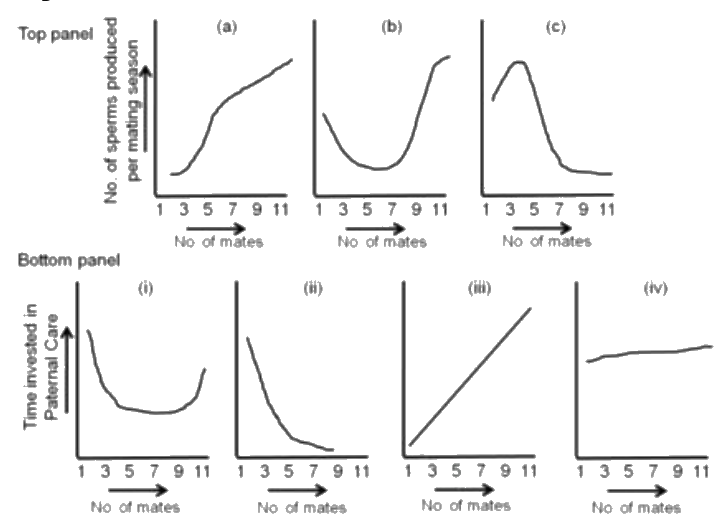 Question 20 image
