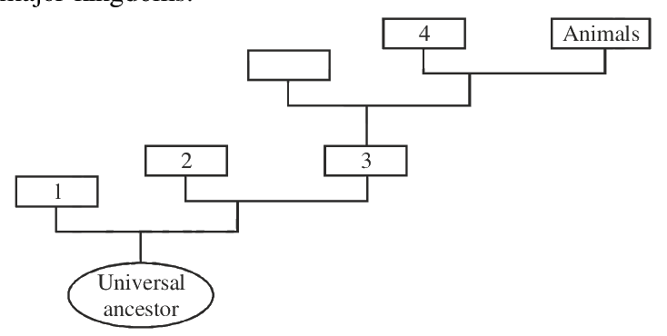 Question 80 image