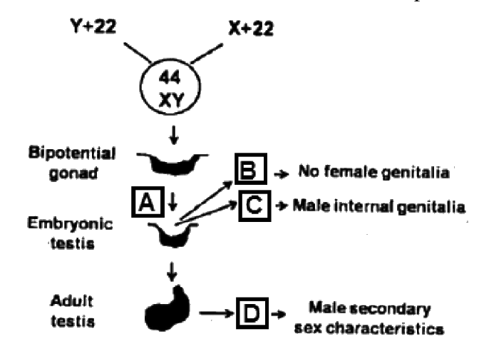 Question 92 image