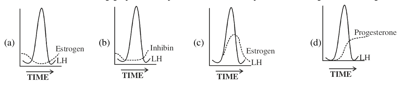 Question 93 image