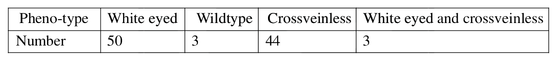 Question 93 image