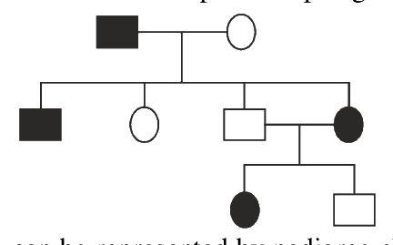 Question 95 image