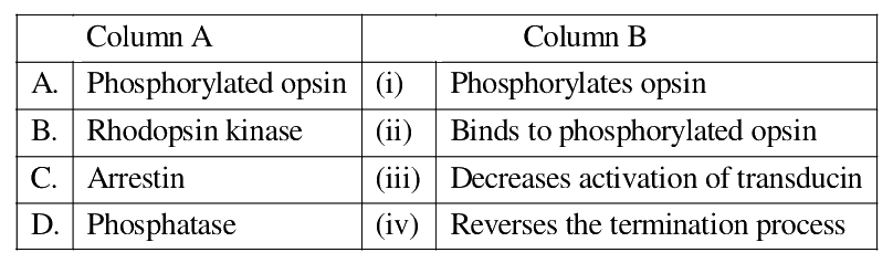 Question 95 image