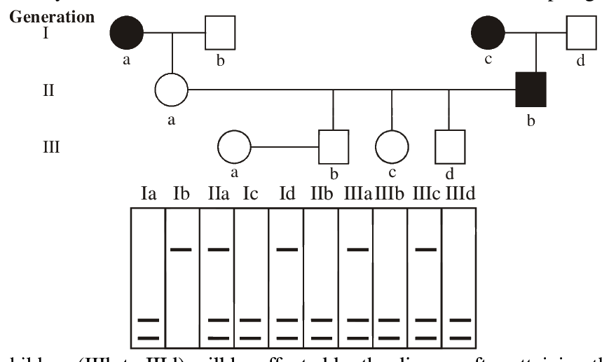 Question 95 image