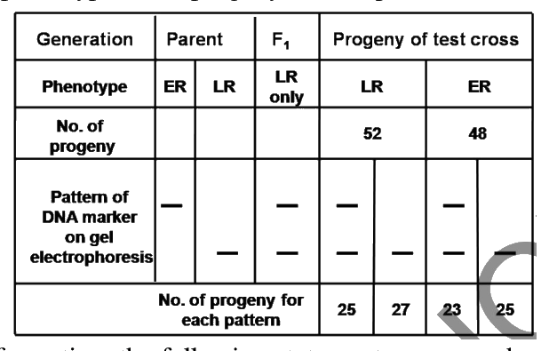 Question 95 image