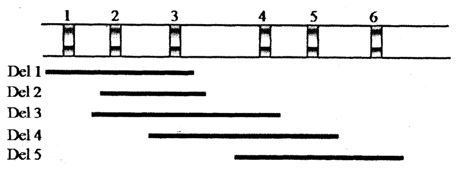 Question 95 image