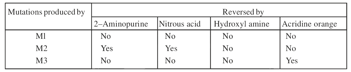 Question 89 image