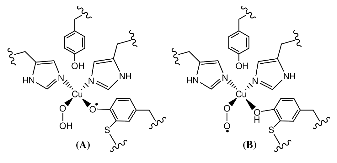 Question 96 image