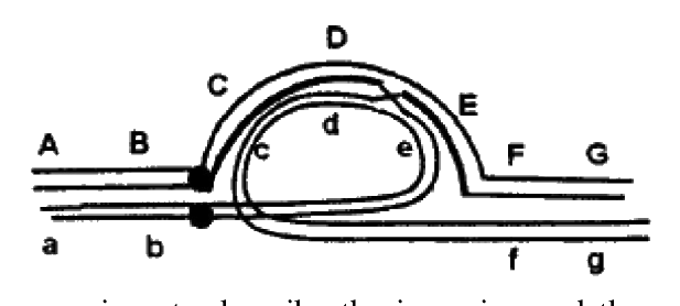 Question 97 image