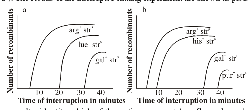 Question 98 image