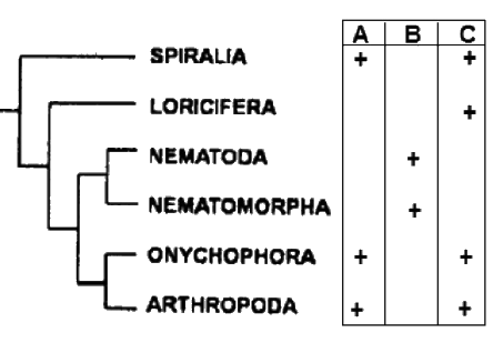 Question 99 image