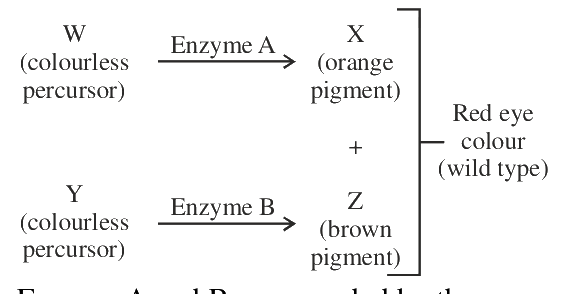 Question 100 image