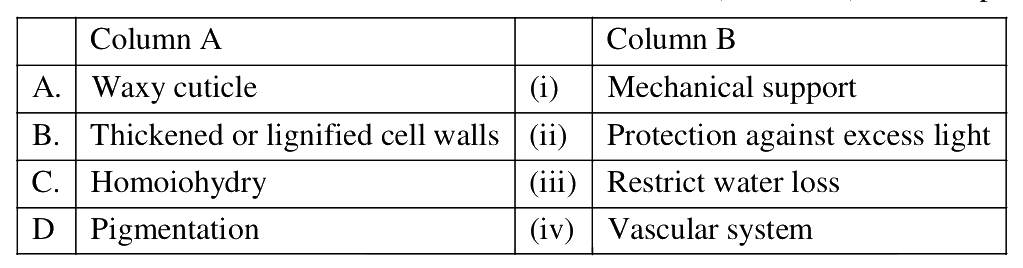 Question 100 image