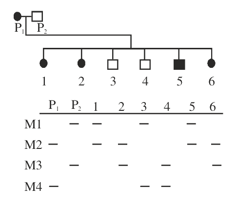 Question 101 image