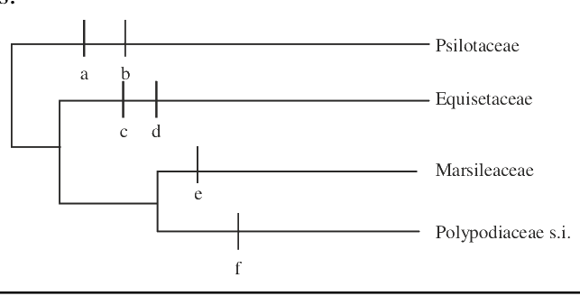 Question 94 image