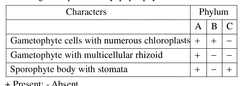 Question 101 image