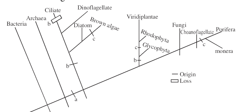 Question 102 image