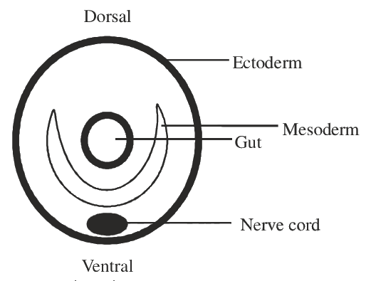 Question 103 image