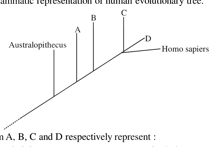 Question 99 image